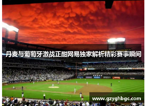 丹麦与葡萄牙激战正酣网易独家解析精彩赛事瞬间